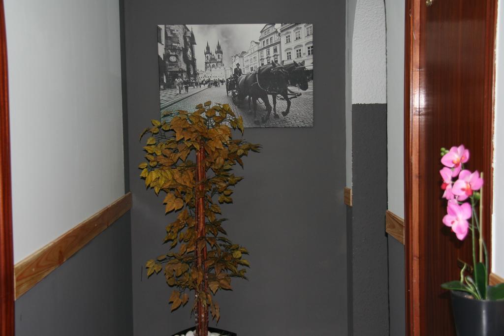 Hostal Restaurante Avenida De Madrid Τεράσα Εξωτερικό φωτογραφία