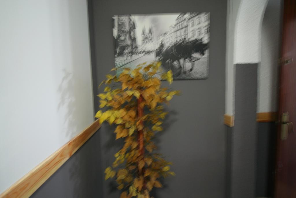 Hostal Restaurante Avenida De Madrid Τεράσα Εξωτερικό φωτογραφία